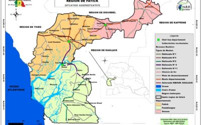 Accès aux Services Sociaux de Base dans la Région de Fatick(2023): Lecture visuelle à travers cartes et graphiques