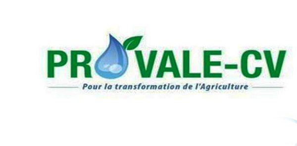 PROVALE CV