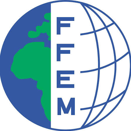 FFEM